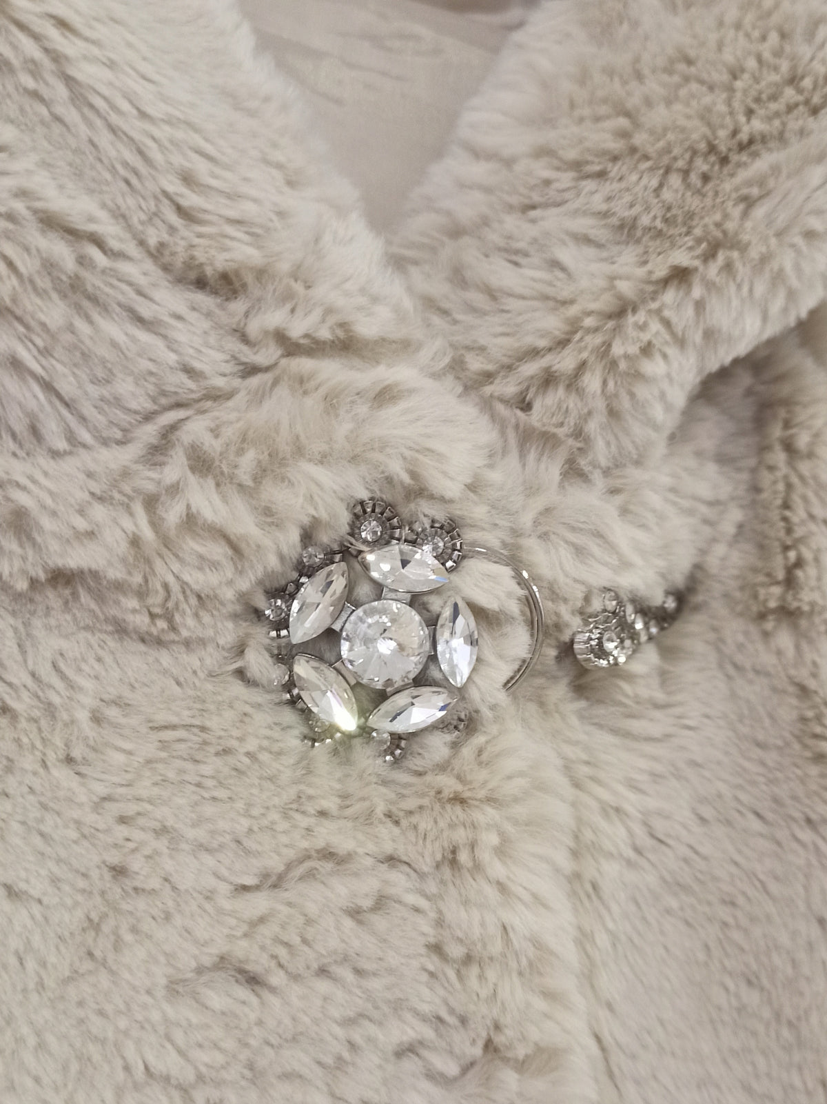 Chaqueta beige de pelo con capucha y detalles joya vista frontal